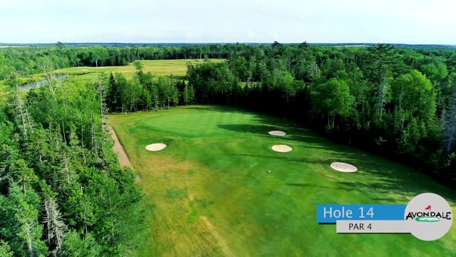 Hole 14