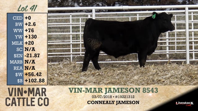 Lot #41 - VIN-MAR JAMESON 8543