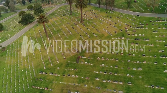 Drone Panning From Ground Upward To Trees