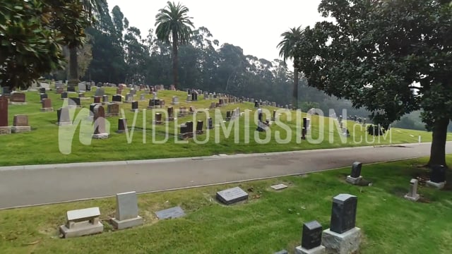 Drone Flying Between Trees Over Graveyard