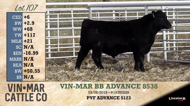 Lot #107 - VIN-MAR BB ADVANCE 8538