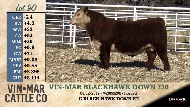 Lot #90 - VIN-MAR BLACKHAWK DOWN 730