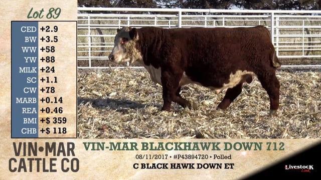 Lot #89 - VIN-MAR BLACKHAWK DOWN 712