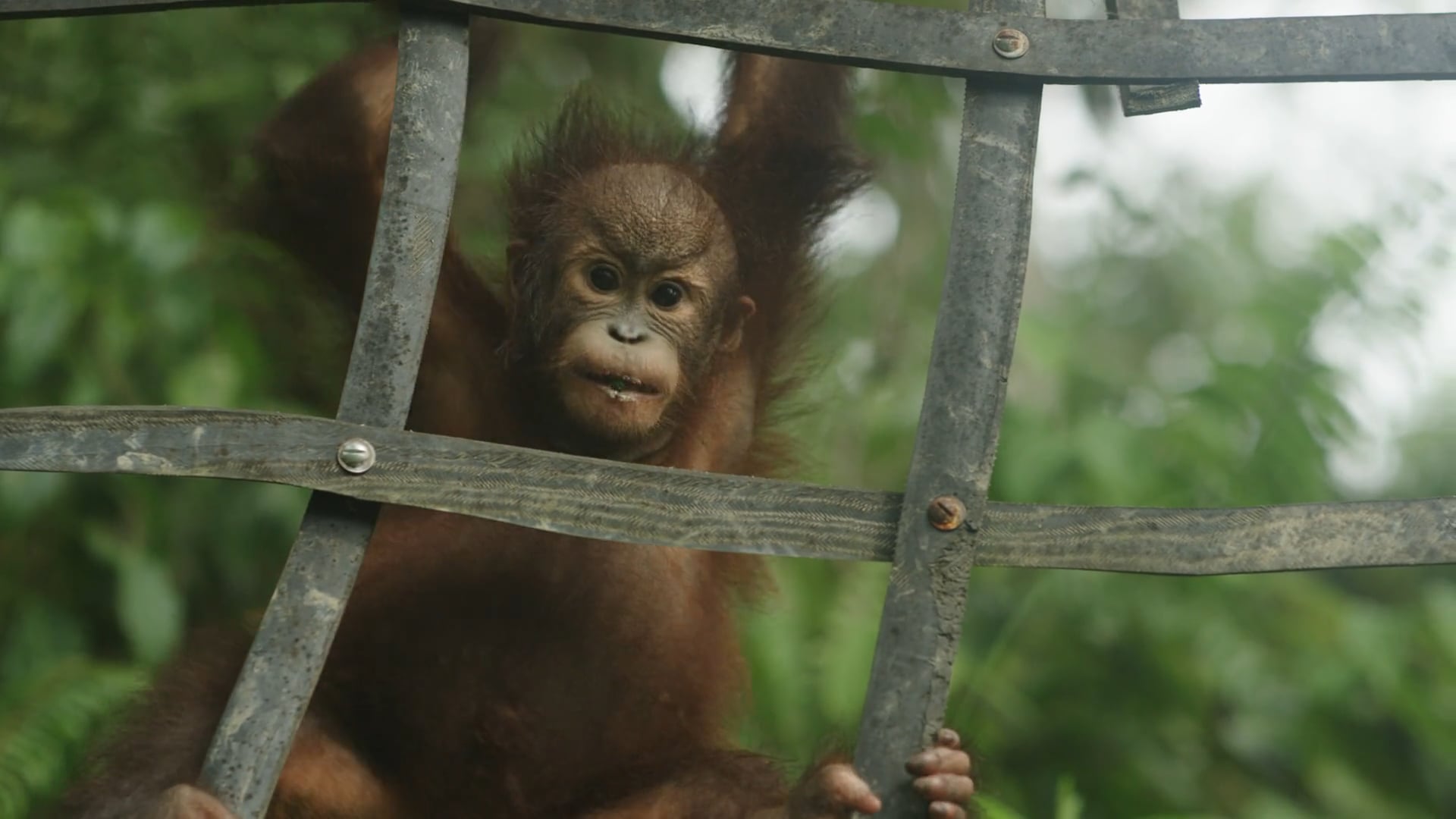 Alex Pickering Demo Reel 2019