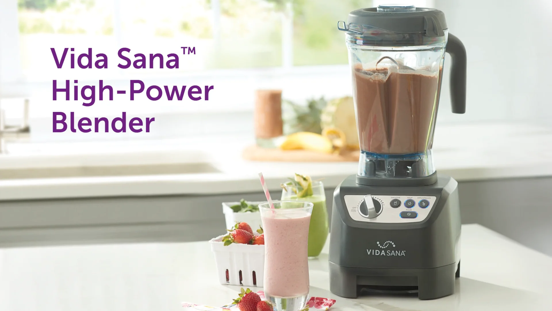 Vida Sana High power blender 1500w