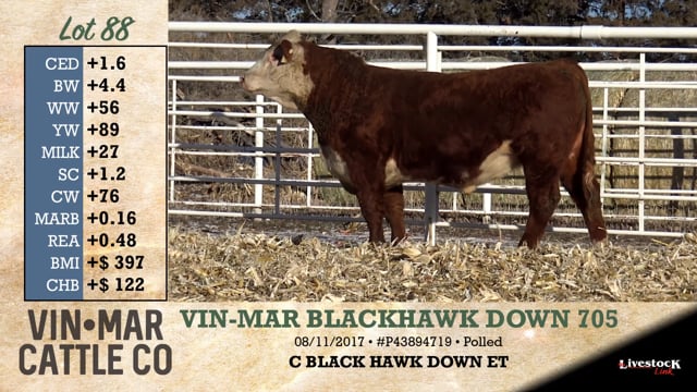Lot #88 - VIN-MAR BLACKHAWK DOWN 705