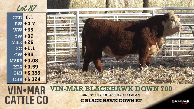Lot #87 - VIN-MAR BLACKHAWK DOWN 700
