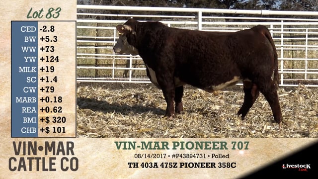 Lot #83 - VIN-MAR PIONEER 707