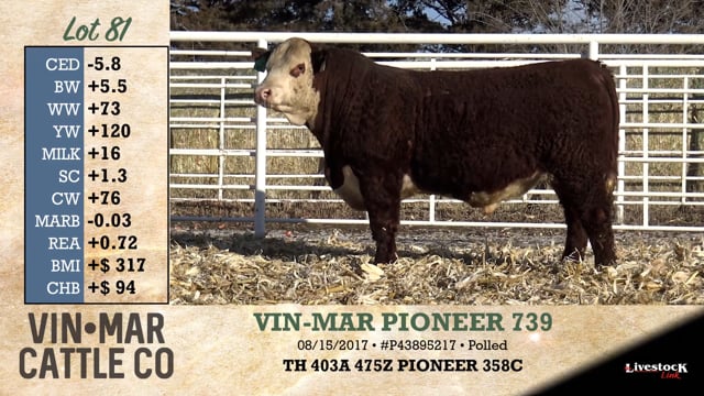 Lot #81 - VIN-MAR PIONEER 739