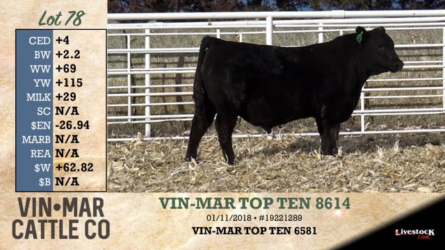 Lot #78 - VIN-MAR TOP TEN 8614