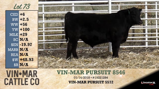 Lot #73 - VIN-MAR PURSUIT 8546