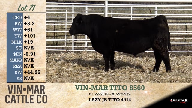 Lot #71 - VIN-MAR TITO 8560