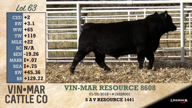 Lot #63 - VIN-MAR RESOURCE 8608