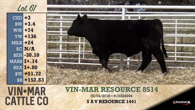 Lot #61 - VIN-MAR RESOURCE 8514