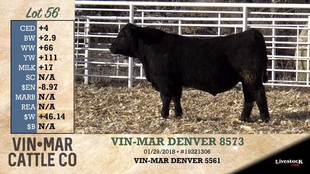 Lot #56 - VIN-MAR DENVER 8573
