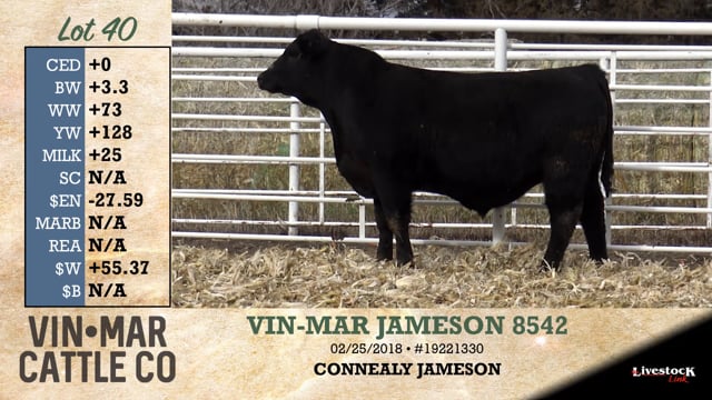 Lot #40 - VIN-MAR JAMESON 8542