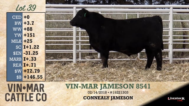 Lot #39 - VIN-MAR JAMESON 8541
