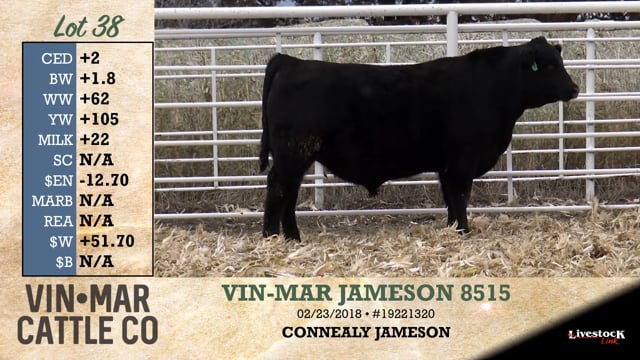 Lot #38 - VIN-MAR JAMESON 8515