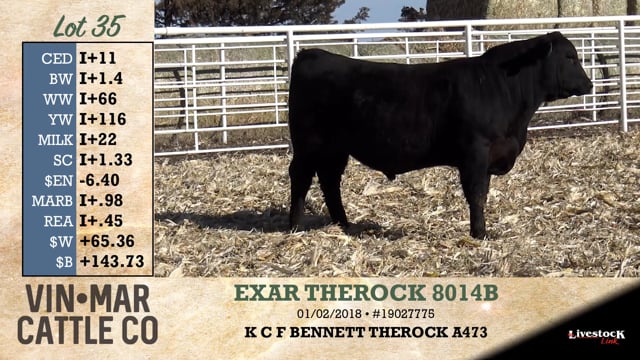 Lot #35 - EXAR THEROCK 8014B
