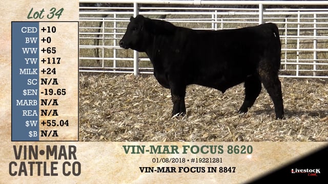Lot #34 - VIN-MAR FOCUS 8620
