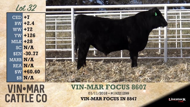 Lot #32 - VIN-MAR FOCUS 8607