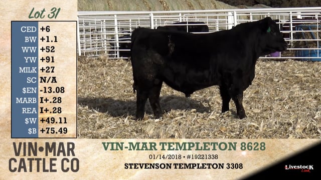 Lot #31 - VIN-MAR TEMPLETON 8628