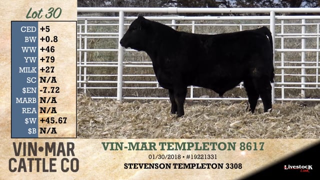 Lot #30 - VIN-MAR TEMPLETON 8617