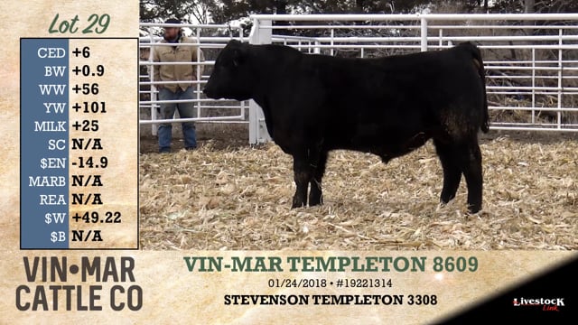 Lot #29 - VIN-MAR TEMPLETON 8609