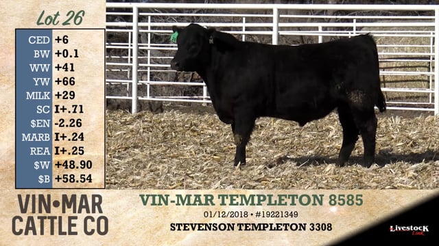 Lot #26 - VIN-MAR TEMPLETON 8585
