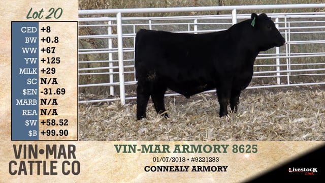 Lot #20 - VIN-MAR ARMORY 8625