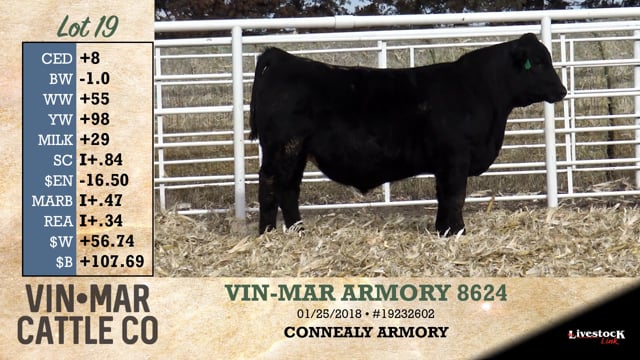 Lot #19 - VIN-MAR ARMORY 8624