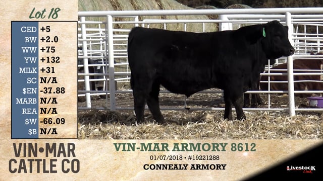 Lot #18 - VIN-MAR ARMORY 8612