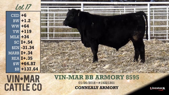 Lot #17 - VIN-MAR BB ARMORY 8595