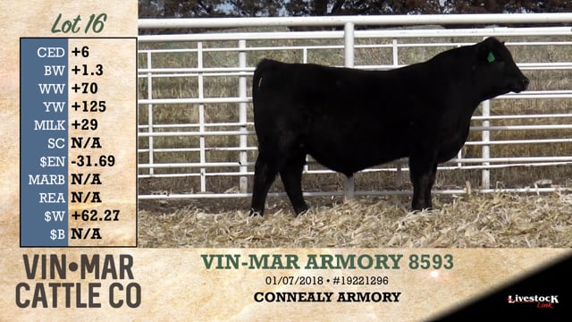 Lot #16 - VIN-MAR ARMORY 8593