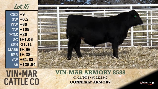 Lot #15 - VIN-MAR ARMORY 8588