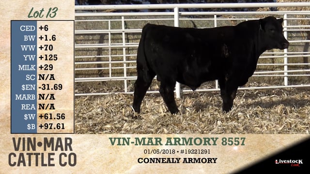 Lot #13 - VIN-MAR ARMORY 8557