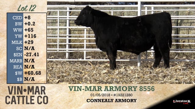 Lot #12 - VIN-MAR ARMORY 8556
