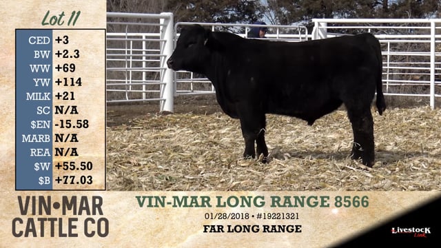 Lot #11 - VIN-MAR LONG RANGE 8566