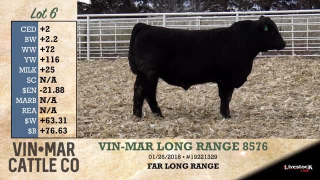 Lot #6 - VIN-MAR LONG RANGE 8576