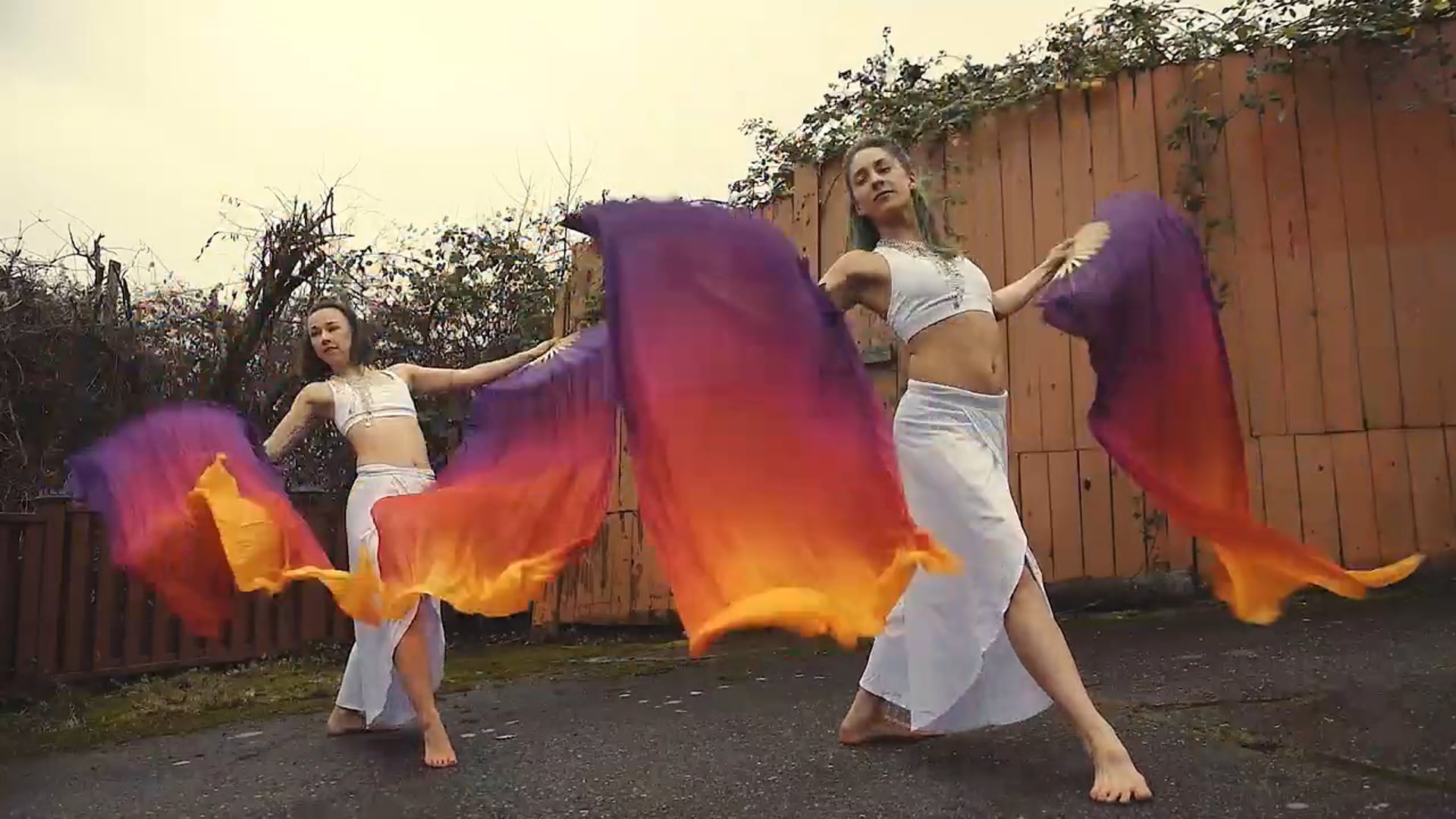 Promotional video thumbnail 2 for Tonic Tribe