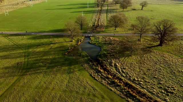 A video of Richmond park