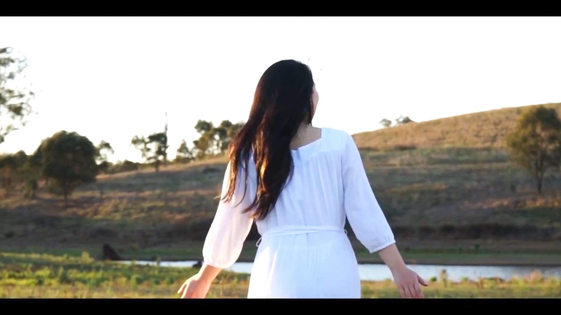 Show Reel