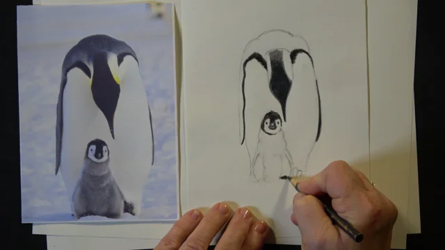 Penguin Speed Draw 1 