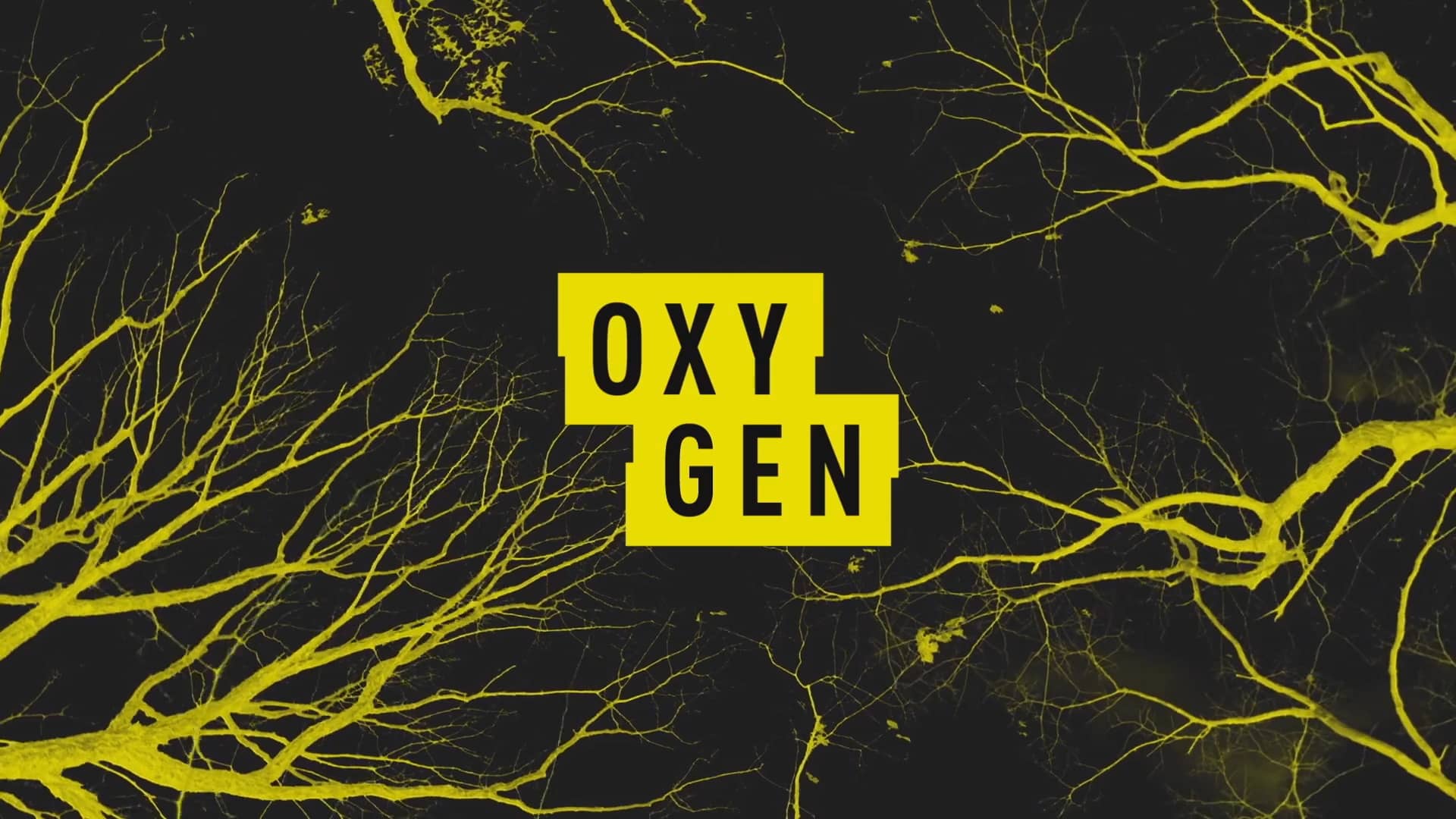 OXYGEN REBRAND on Vimeo