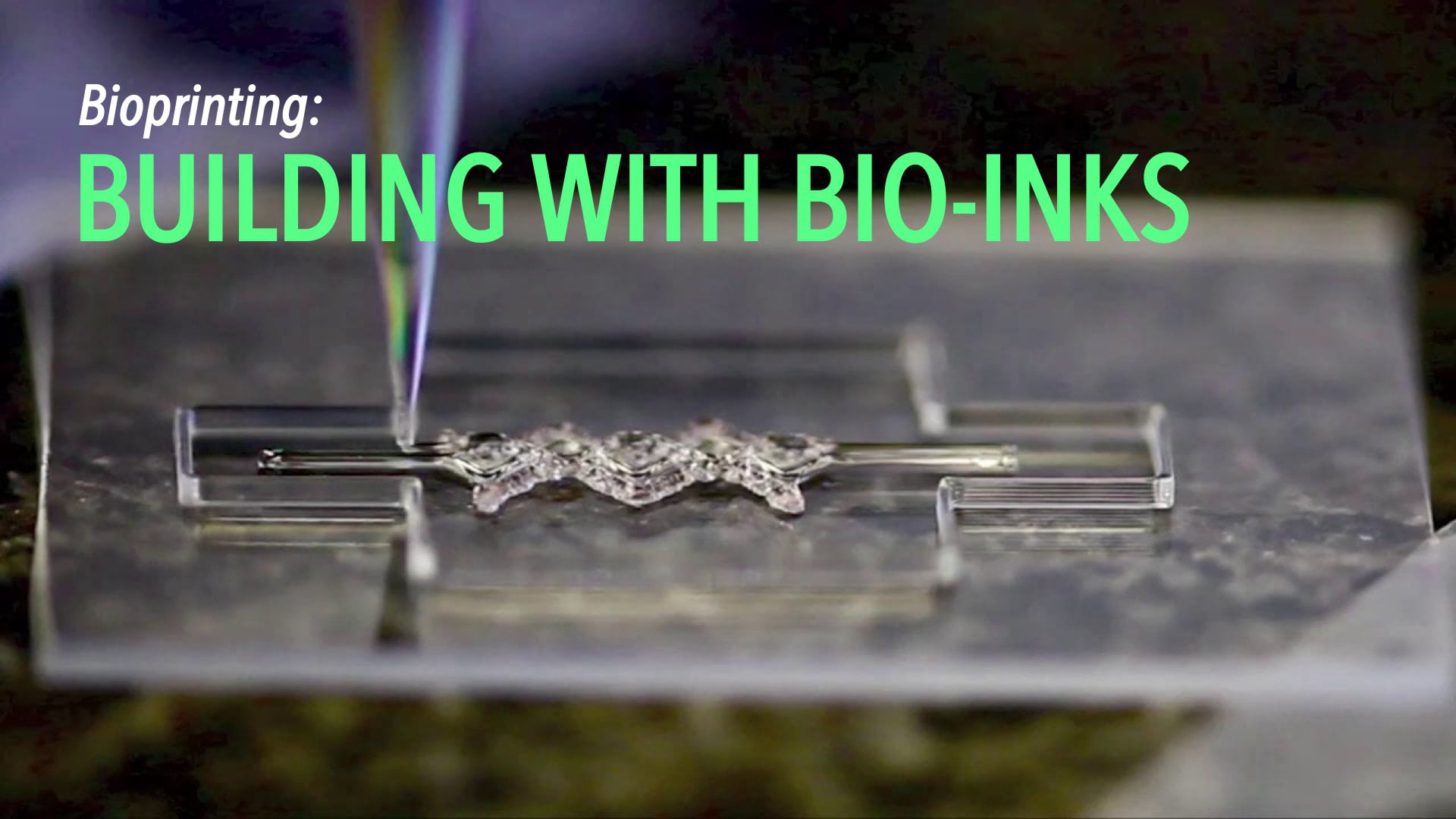 Bioprinting: Building with Bio-Inks