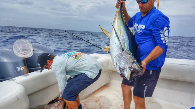 Tuna Fishing - Top 5 Yellowfin Surface Lures