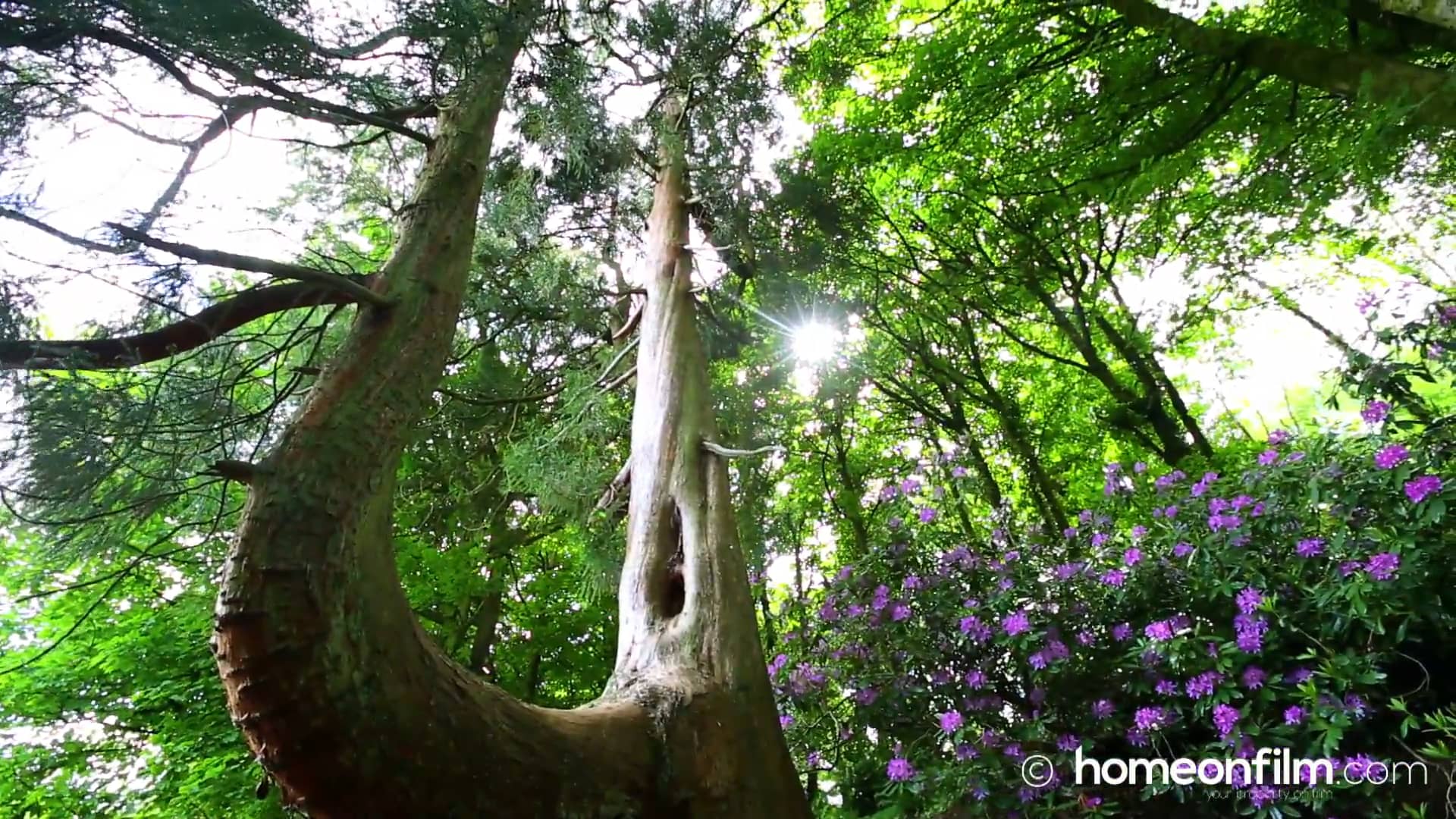 Gorseinon, Penllergaer, Pontarddulais & Loughor, West Wales on Vimeo