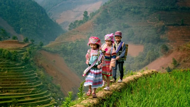 SAMSUNG SUHDTV Vietnam.