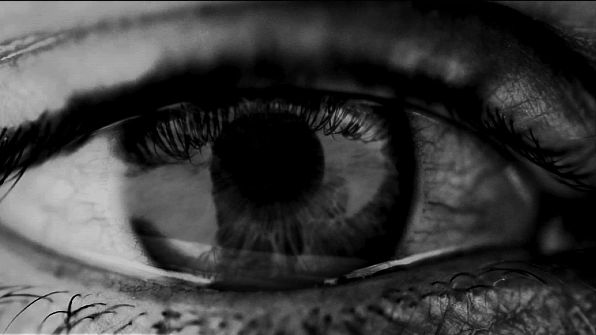 Video Installation Art 'Suppression'