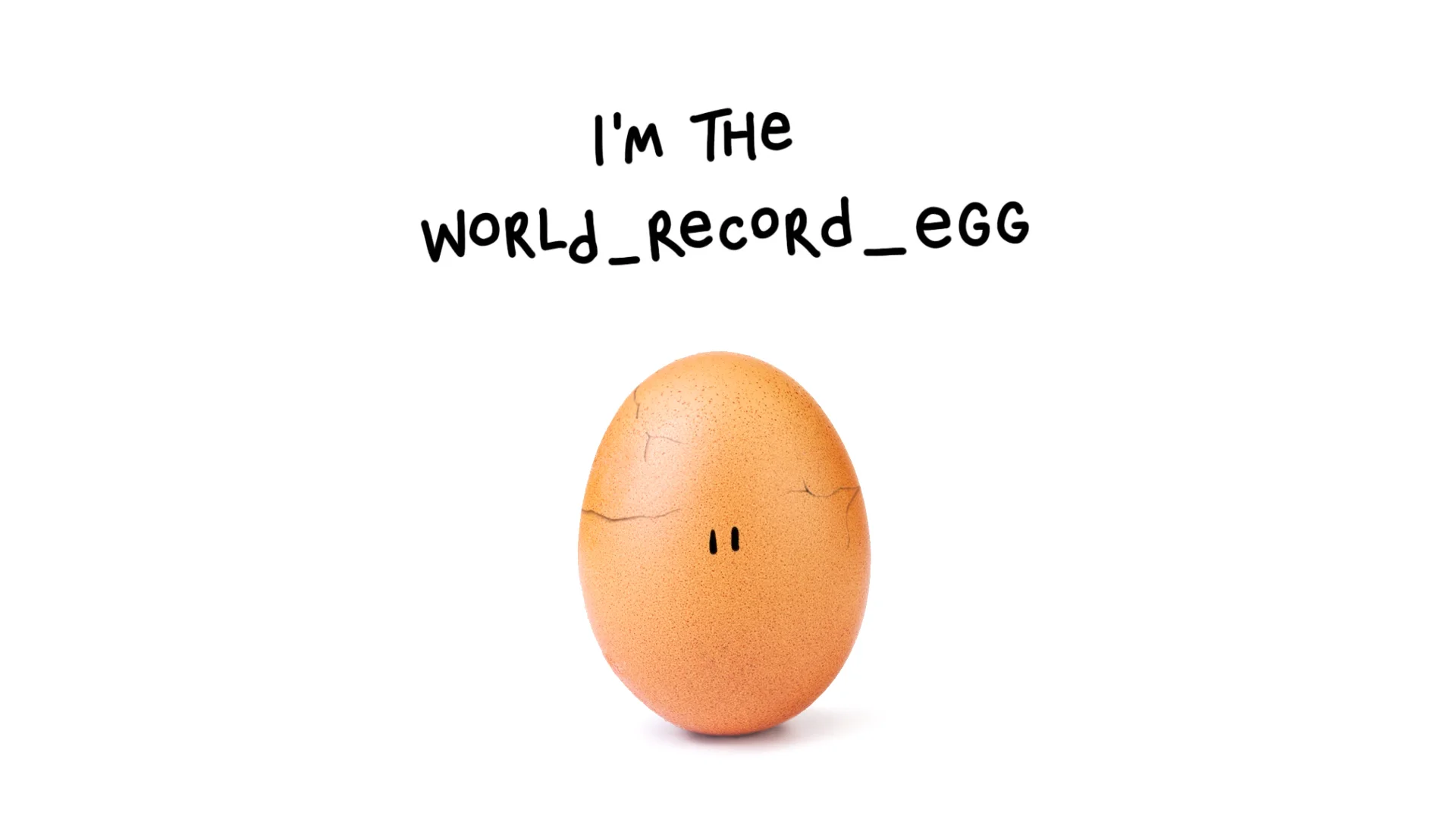 World Record Egg